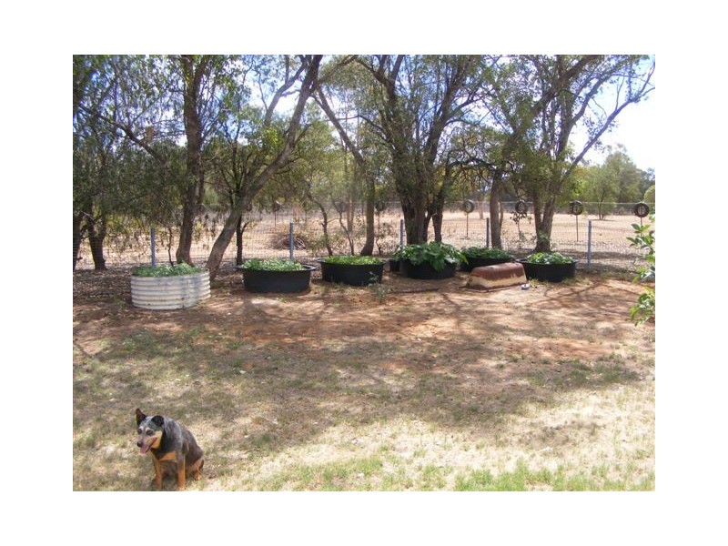 98 Wellwater Road, Charleville QLD 4470