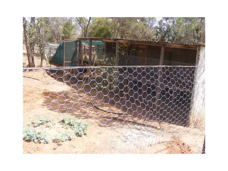 98 Wellwater Road, Charleville QLD 4470