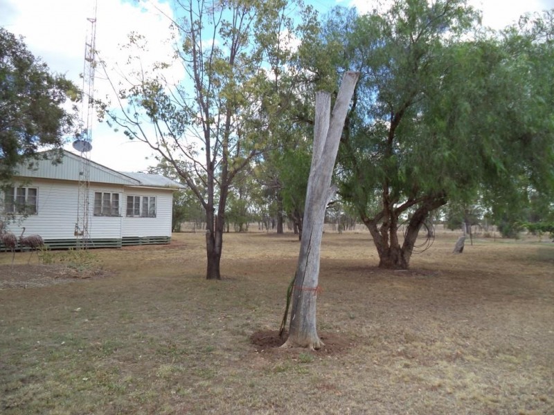 ” NINGINDAH “, Dulacca QLD 4425