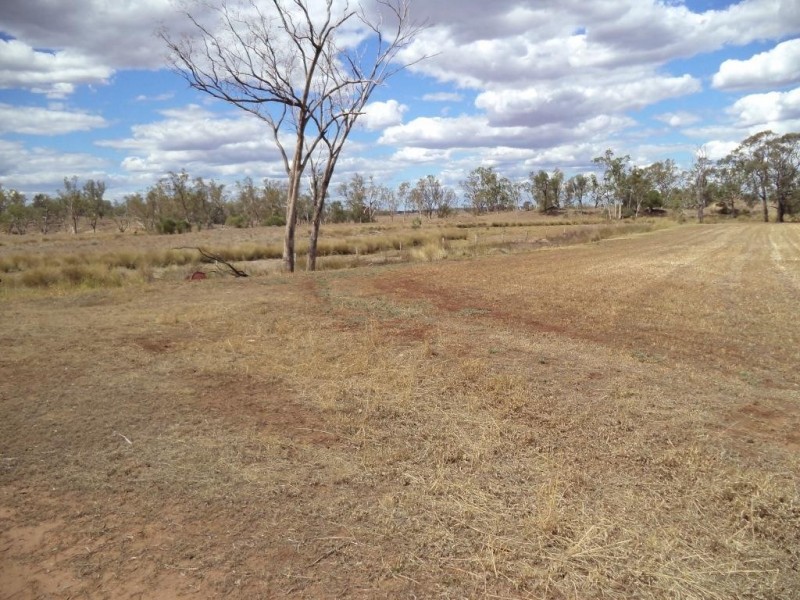 ” NINGINDAH “, Dulacca QLD 4425