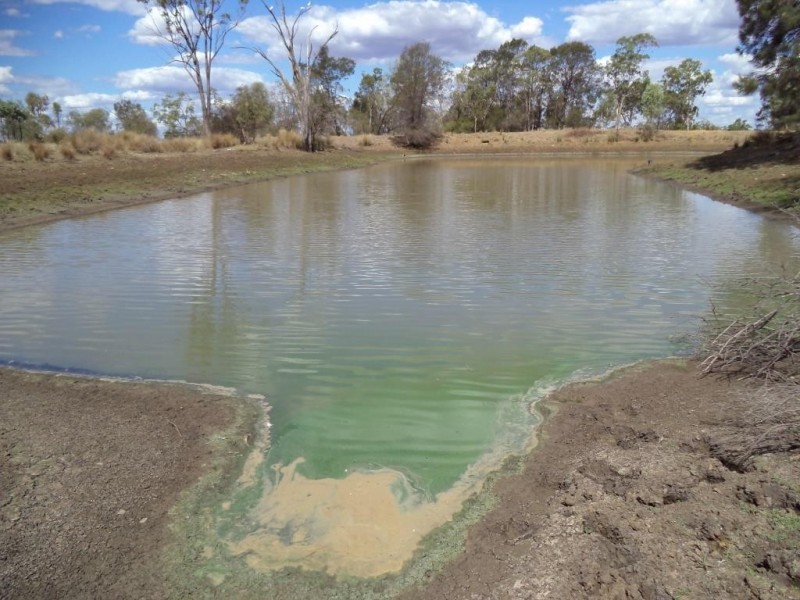 ” NINGINDAH “, Dulacca QLD 4425