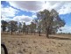 ” NINGINDAH “, Dulacca QLD 4425