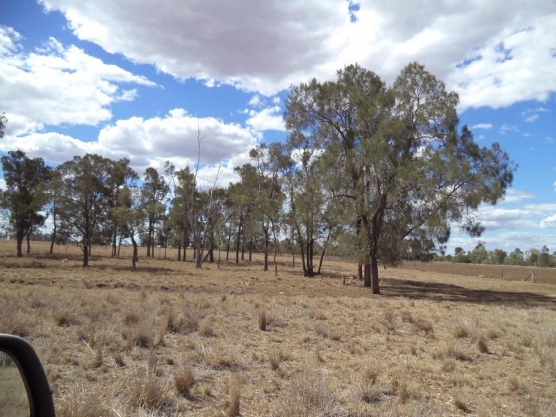 ” NINGINDAH “, Dulacca QLD 4425
