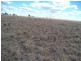 ” NINGINDAH “, Dulacca QLD 4425