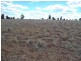” NINGINDAH “, Dulacca QLD 4425