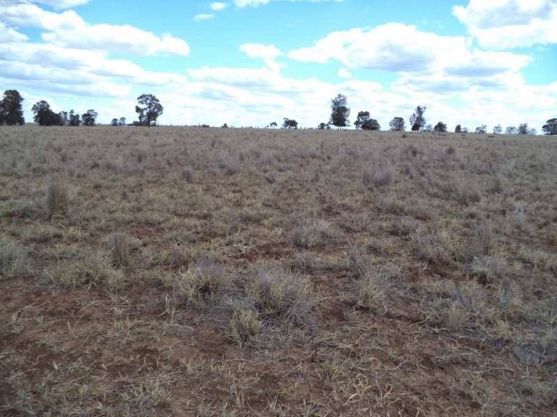 ” NINGINDAH “, Dulacca QLD 4425
