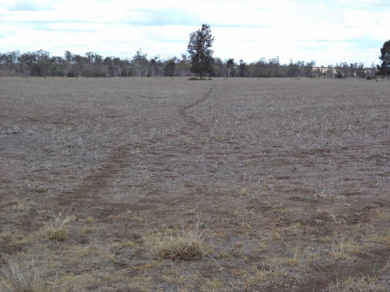 ” NINGINDAH “, Dulacca QLD 4425