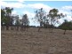 ” NINGINDAH “, Dulacca QLD 4425