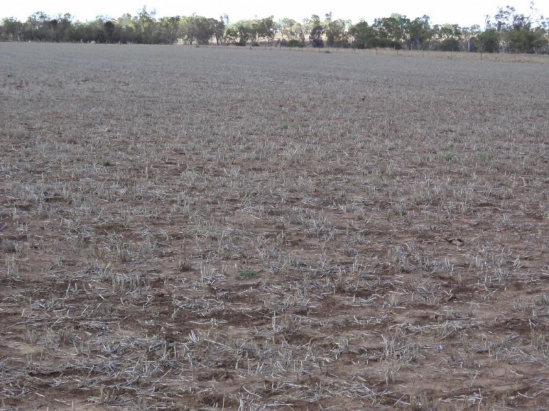 ” NINGINDAH “, Dulacca QLD 4425