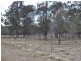 ” NINGINDAH “, Dulacca QLD 4425