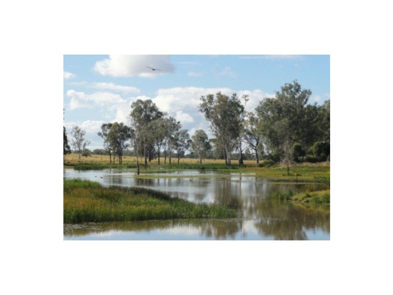 446 Holmes Road, Chinchilla QLD 4413