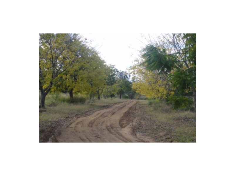 446 Holmes Road, Chinchilla QLD 4413