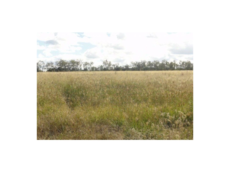 446 Holmes Road, Chinchilla QLD 4413