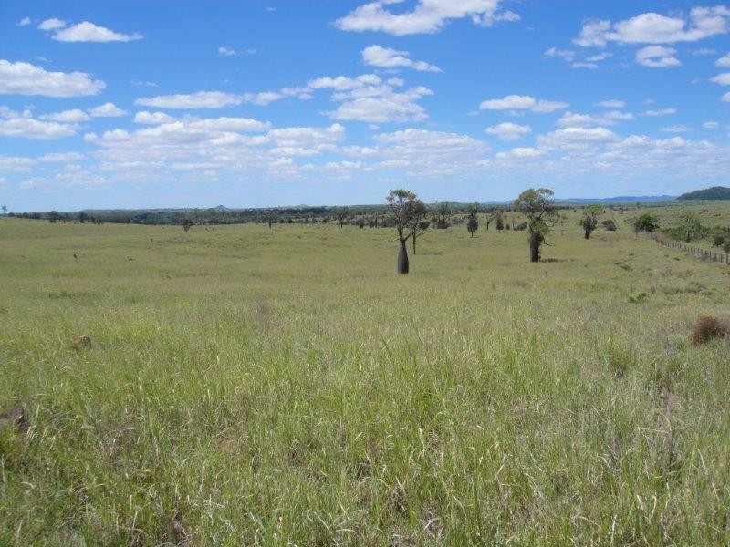 ” Mt Aldis “, Moura QLD 4718