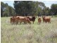 ” Mt Aldis “, Moura QLD 4718