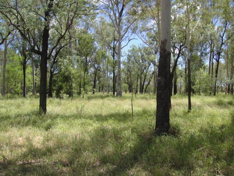 ” Mt Aldis “, Moura QLD 4718