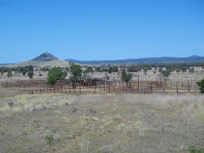 ” Sandra Downs “, Moura QLD 4718