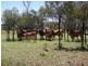 ” Sandra Downs “, Moura QLD 4718