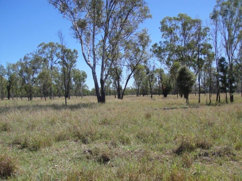 ” Sandra Downs “, Moura QLD 4718