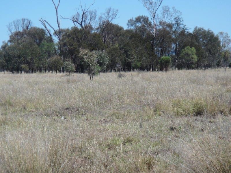 ” Sandra Downs “, Moura QLD 4718