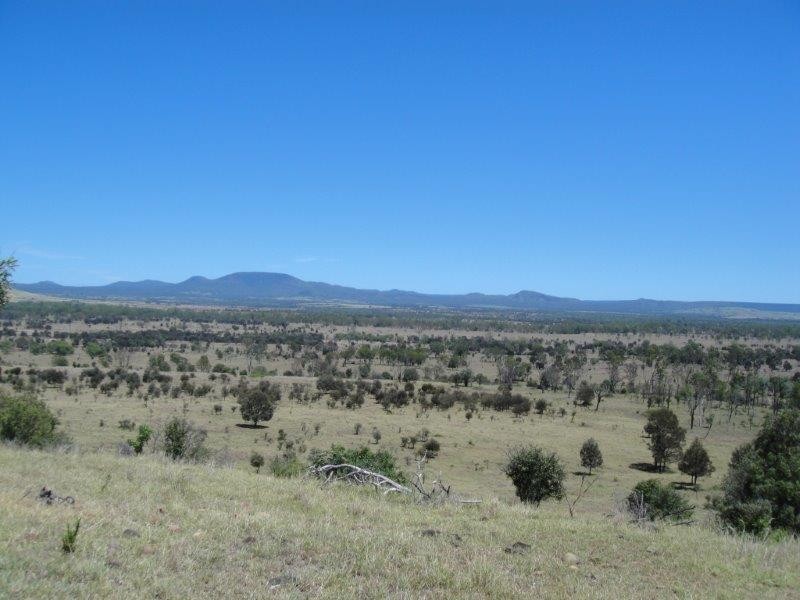 ” Sandra Downs “, Moura QLD 4718