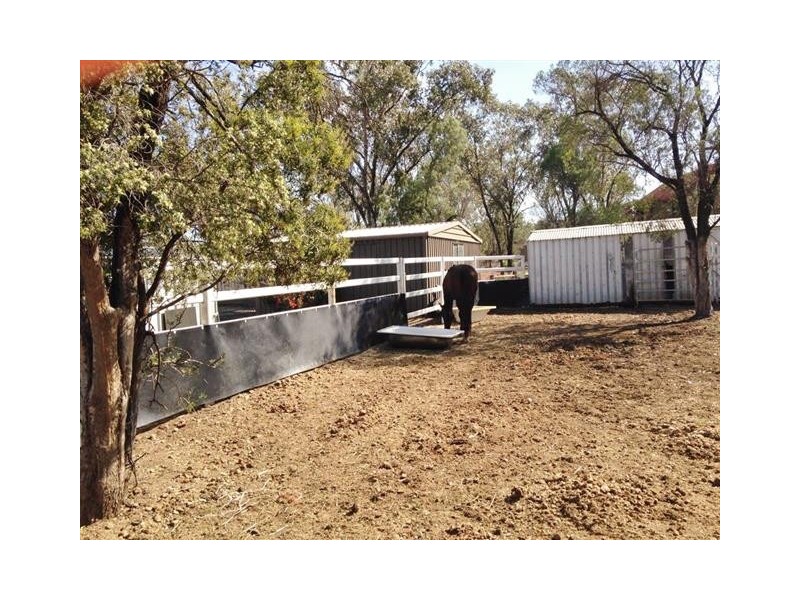 119 Roslyn Drive, Roma QLD 4455