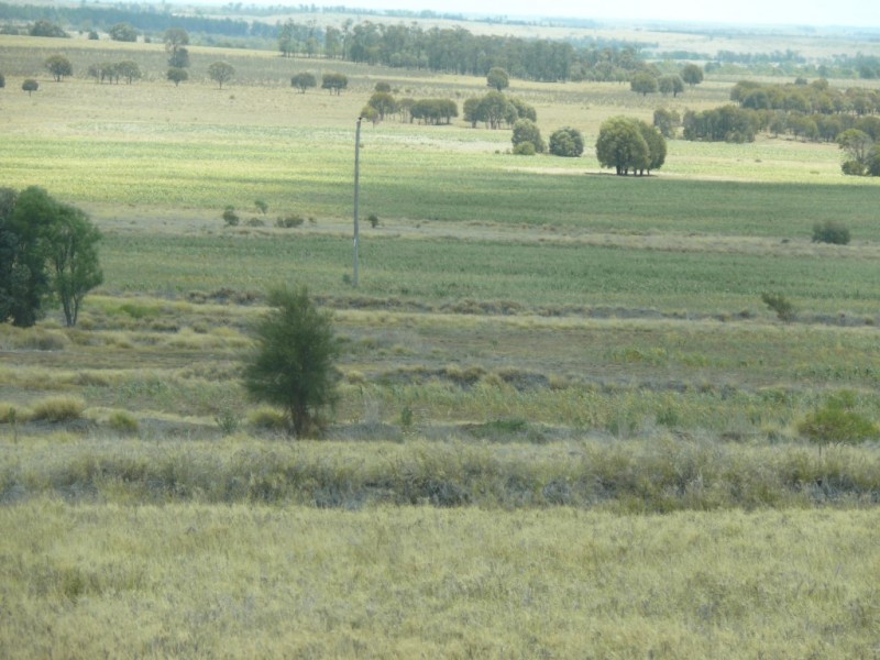 ” Nardu “, Roma QLD 4455