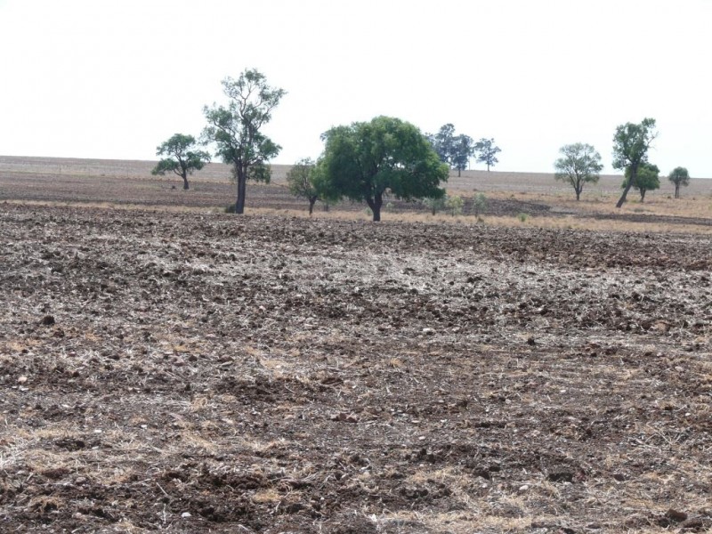 ” Nardu “, Roma QLD 4455