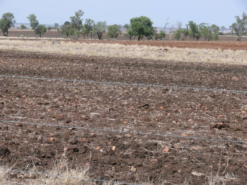 ” Nardu “, Roma QLD 4455