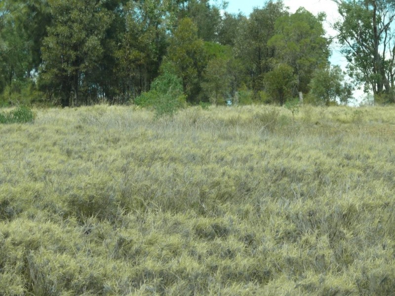 ” Nardu “, Roma QLD 4455