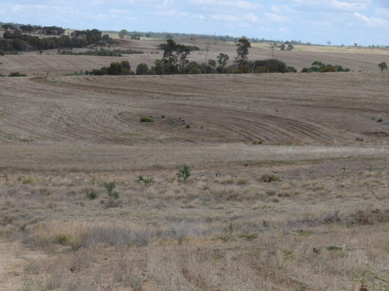 ” Nardu “, Roma QLD 4455