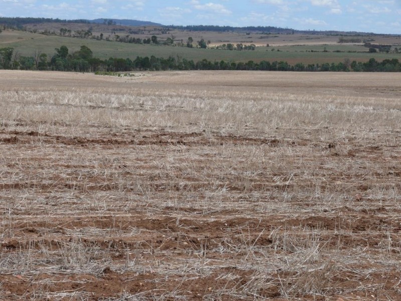 ” Nardu “, Roma QLD 4455