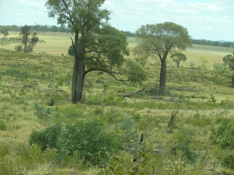 ” Nardu “, Roma QLD 4455