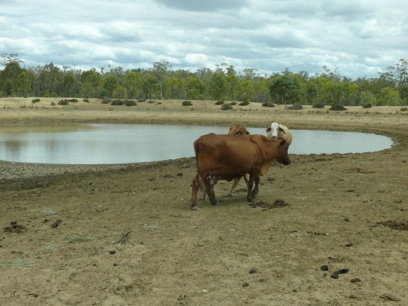 ” Nardu “, Roma QLD 4455
