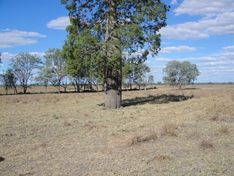 ” Billabong “, Moura QLD 4718