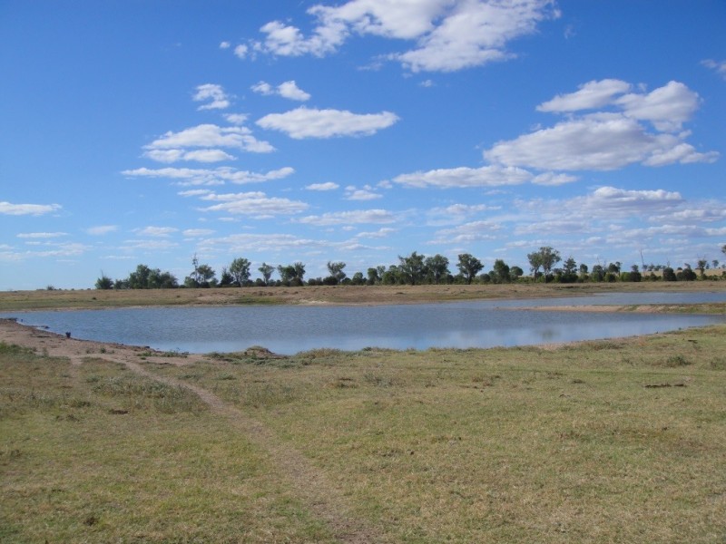 ” Billabong “, Moura QLD 4718