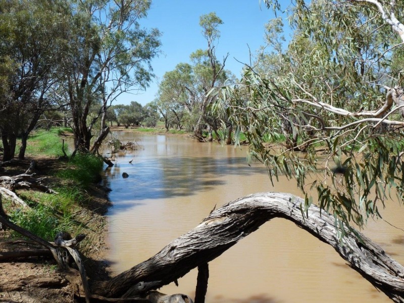 ” Marmboo “, Longreach QLD 4730