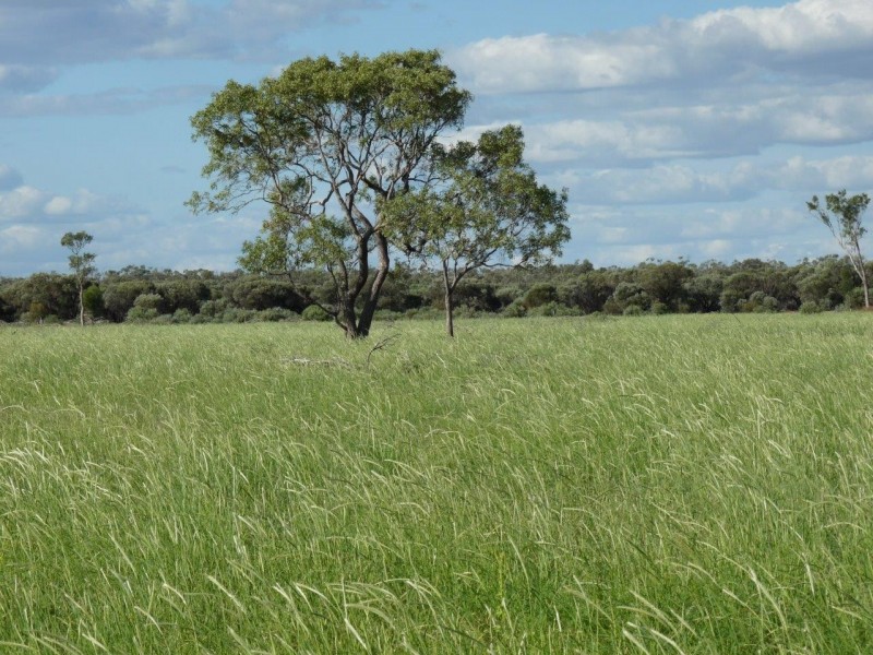 ” Marmboo “, Longreach QLD 4730