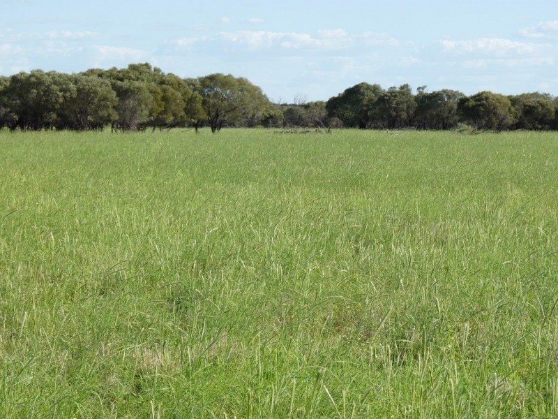 ” Marmboo “, Longreach QLD 4730
