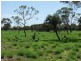 ” Marmboo “, Longreach QLD 4730
