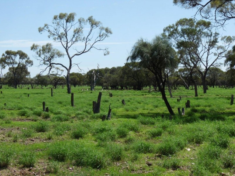 ” Marmboo “, Longreach QLD 4730