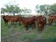 ” Marmboo “, Longreach QLD 4730