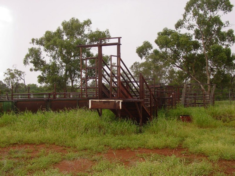 ” Glendilla “, Cunnamulla QLD 4490
