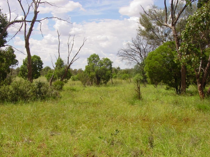 ” Glendilla “, Cunnamulla QLD 4490