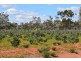 ” Glendilla “, Cunnamulla QLD 4490