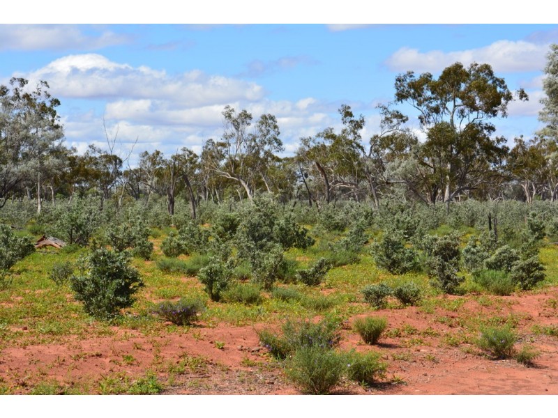 ” Glendilla “, Cunnamulla QLD 4490
