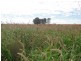 ” Vera Doon “, Hannaford QLD 4406