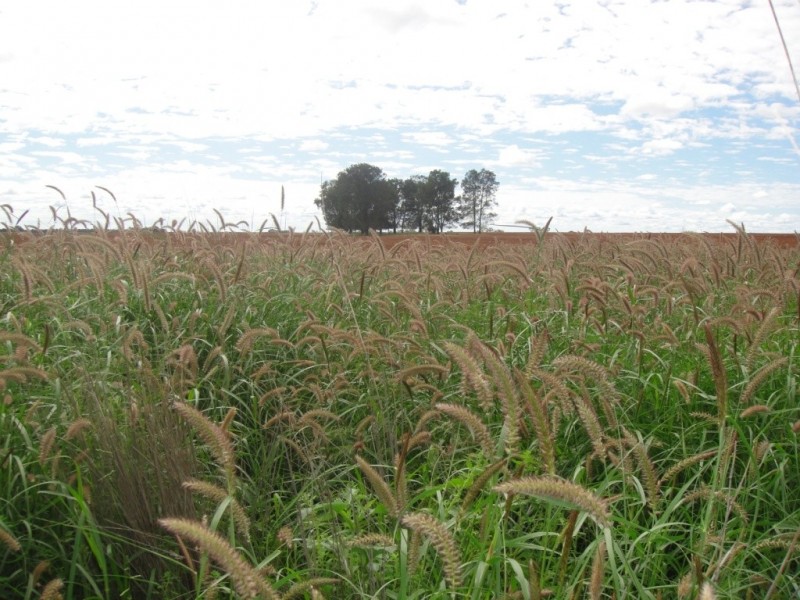 ” Vera Doon “, Hannaford QLD 4406