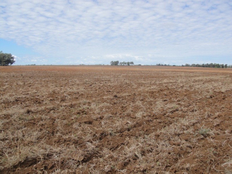 ” Vera Doon “, Hannaford QLD 4406