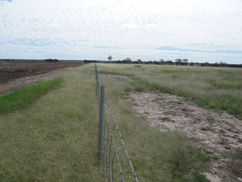 ” Vera Doon “, Hannaford QLD 4406